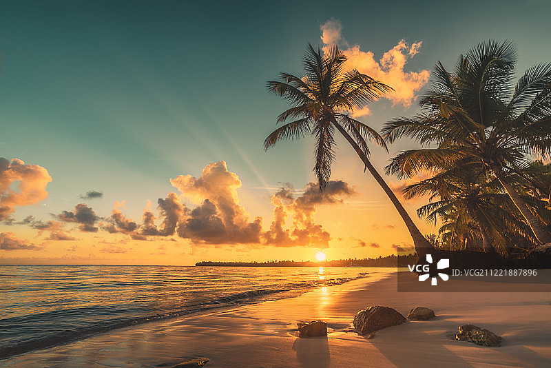 多米尼加共和国蓬塔卡纳的棕榈和热带海滩图片素材