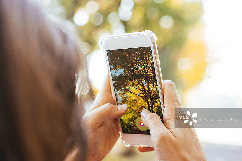 一名妇女在街上给一棵秋天的树拍照图片素材