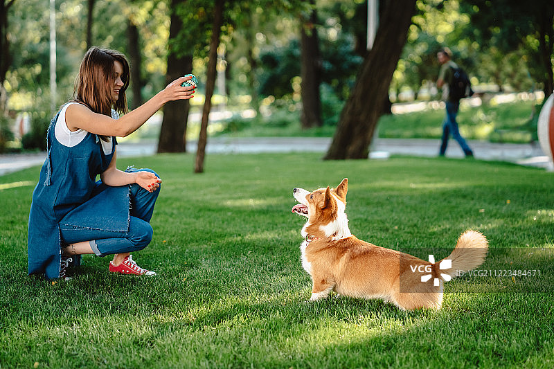 在狗公园里，女人和威尔士柯基犬彭布罗克的肖像图片素材
