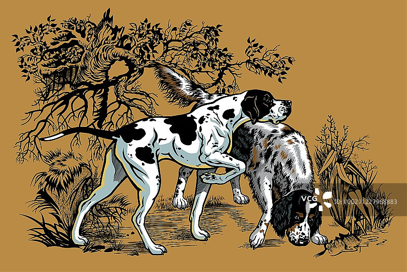 赛特种猎狗英格兰长毛猎犬森林艺术品插画展开全部关键词本网站图片