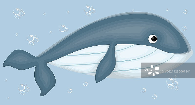 鲸鱼骨头 卡通画图片