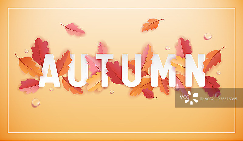 秋天的背景模板与美丽的树叶图片素材