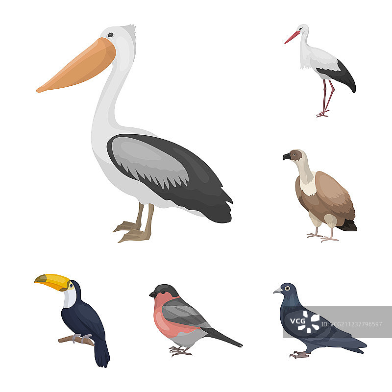 类型的鸟卡通图标集合为图片素材