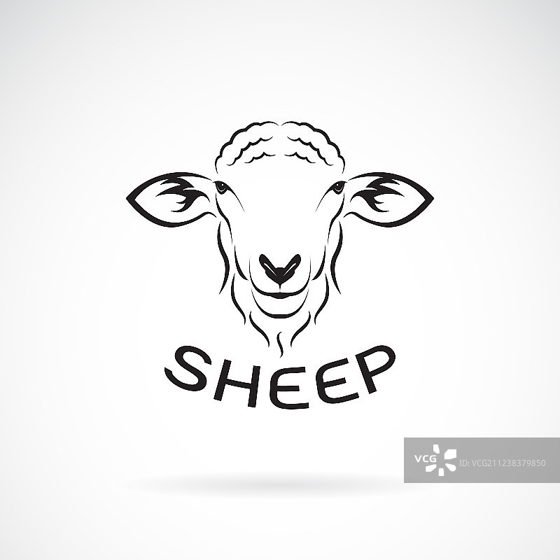 羊头设计在白色的背景野生图片素材