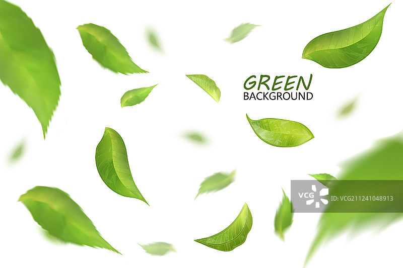 模糊清新的绿叶飞扬品质3d图片素材