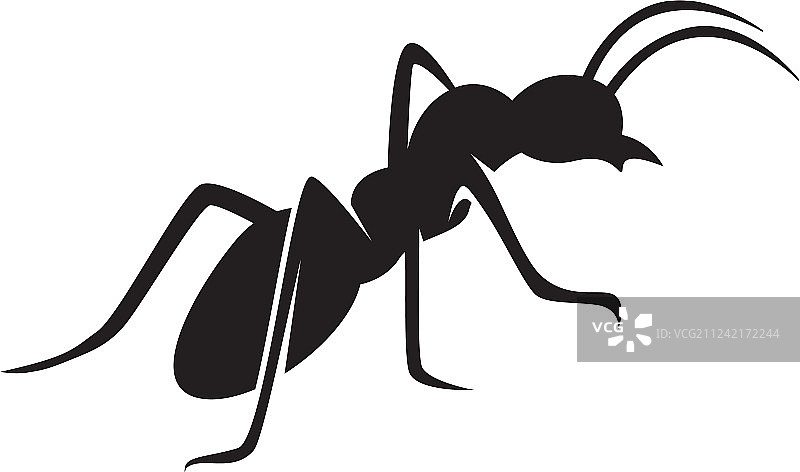 蚂蚁标志模板设计图片素材