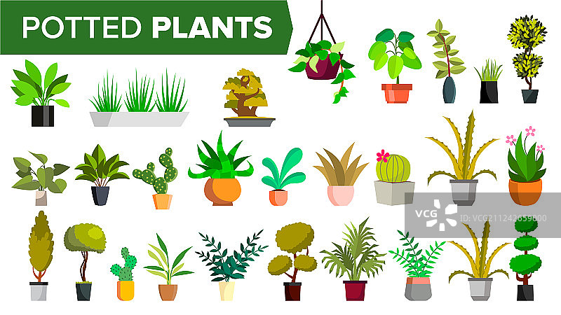 盆栽植物里种着绿色植物图片素材