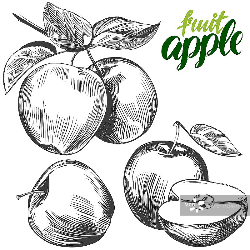苹果水果套手绘图片素材