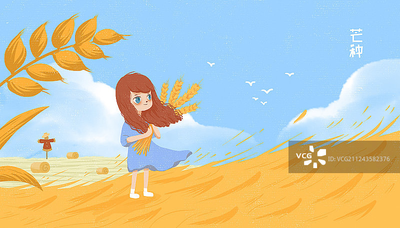 二十四节气芒种插画 插田间抱着小麦的女孩图片素材