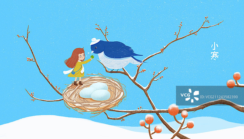 二十四节气小寒插画 冬天积雪的树枝上有个女孩在给鸟儿吃果子图片素材