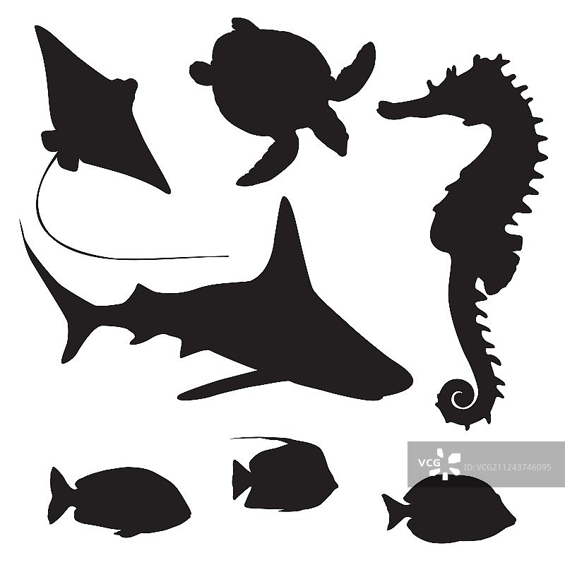 鲨鱼、海龟、鱼和海马的剪影图片素材