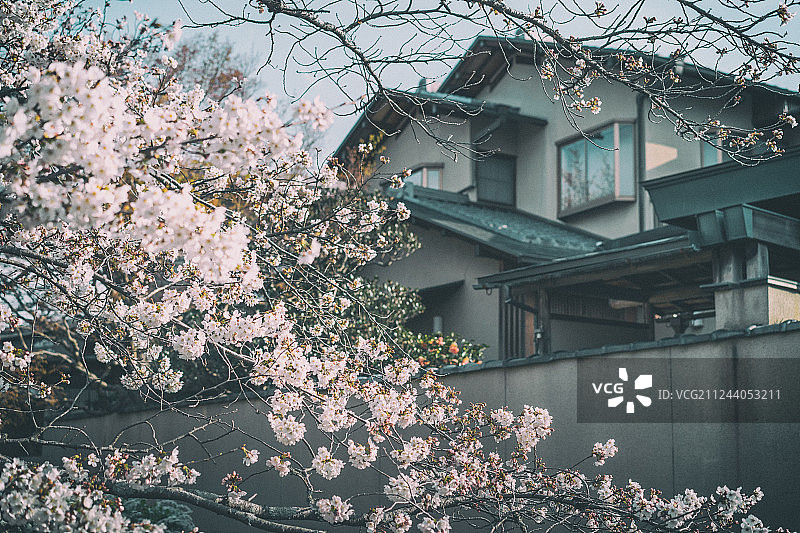 日式住宅区图片素材