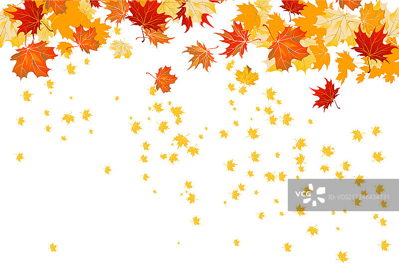 秋天树叶孤立图片素材
