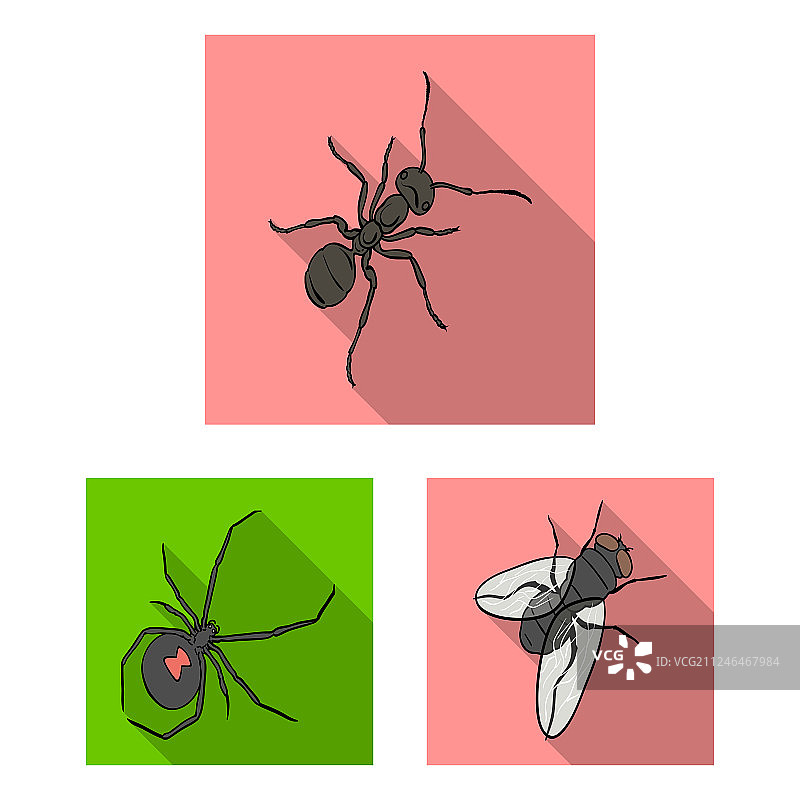 不同种类的昆虫平面图标设置图片素材