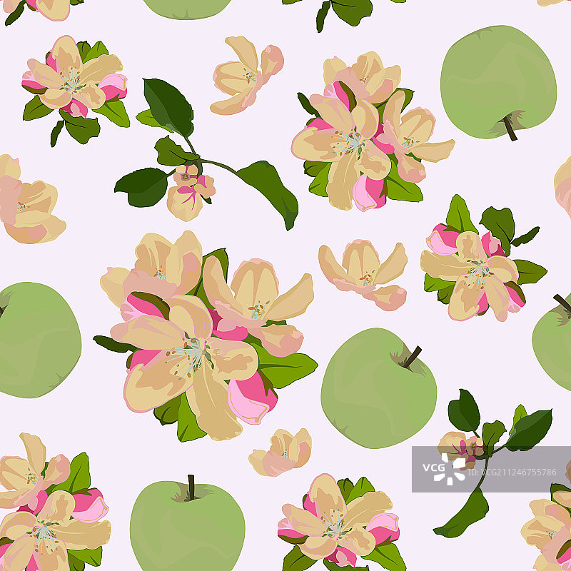 无缝图案与苹果树开花图片素材