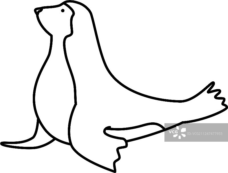 马戏团海豹海洋动物图片素材