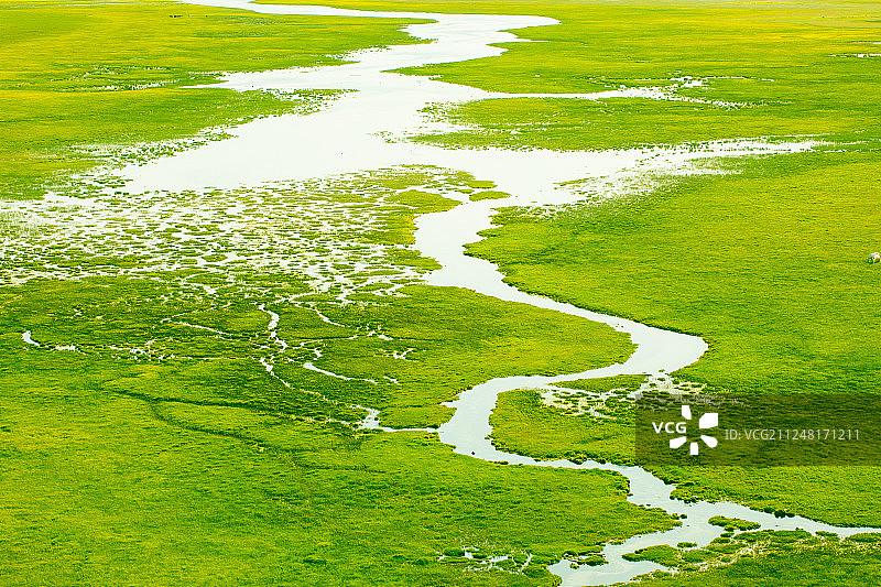 湿地上弯曲的小河图片素材
