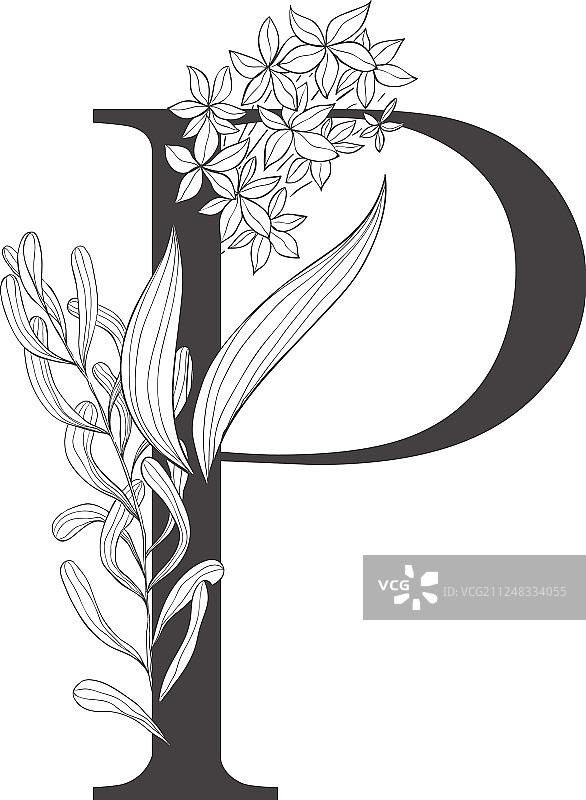 花卉植物字母字母与植物和图片素材
