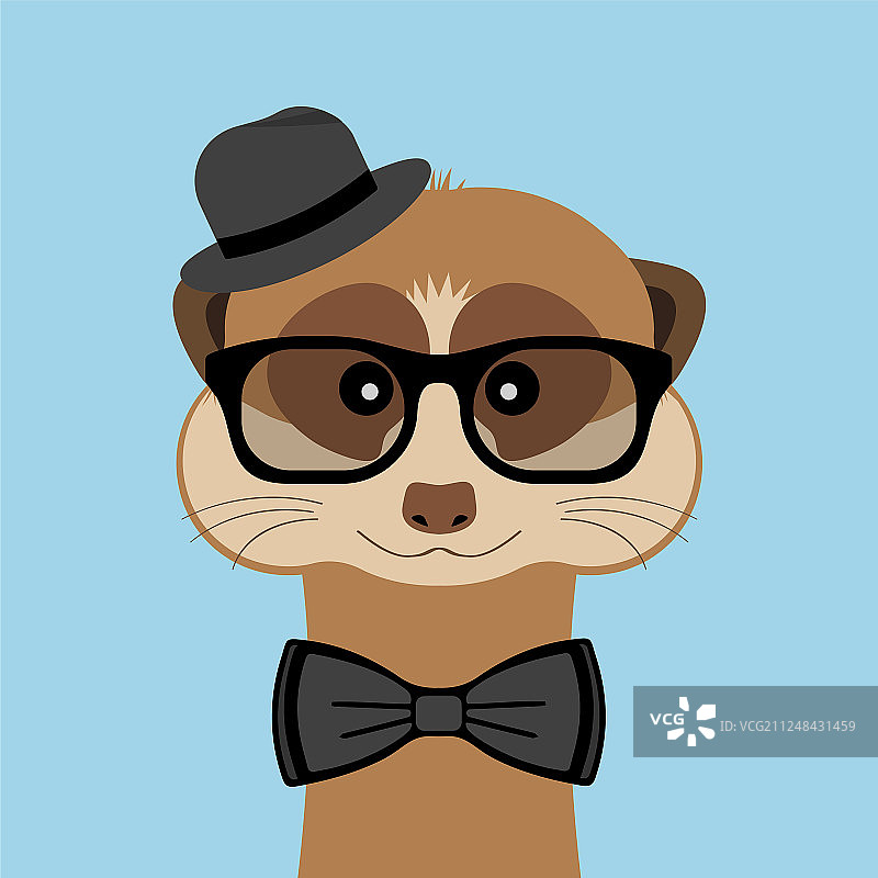 猫鼬男孩肖像与眼镜帽和领结图片素材