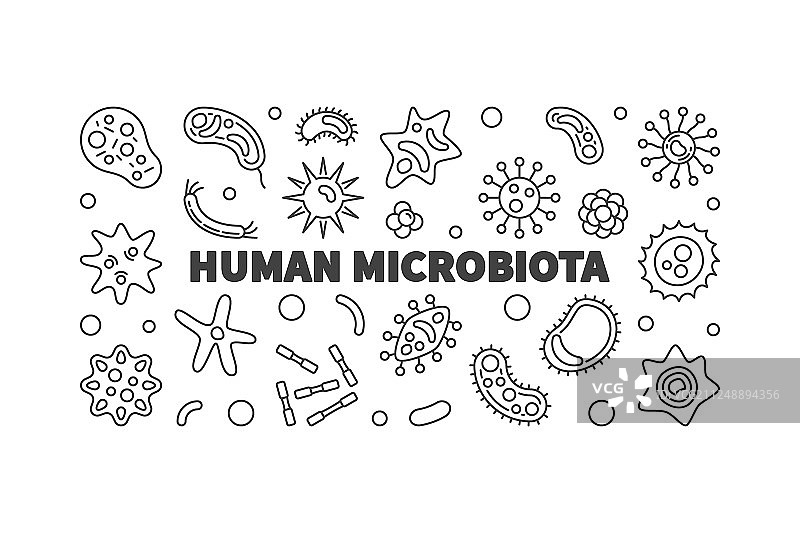 人类微生物群的轮廓是水平的图片素材