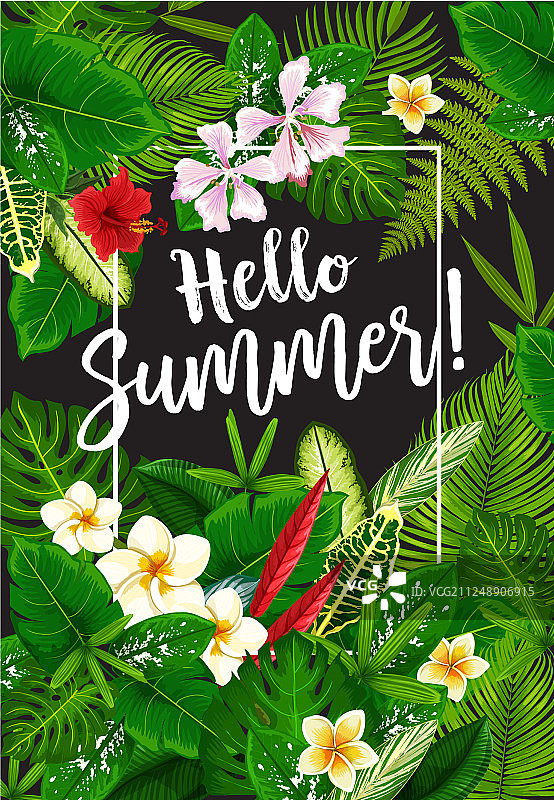 你好夏季海报与热带植物图片素材