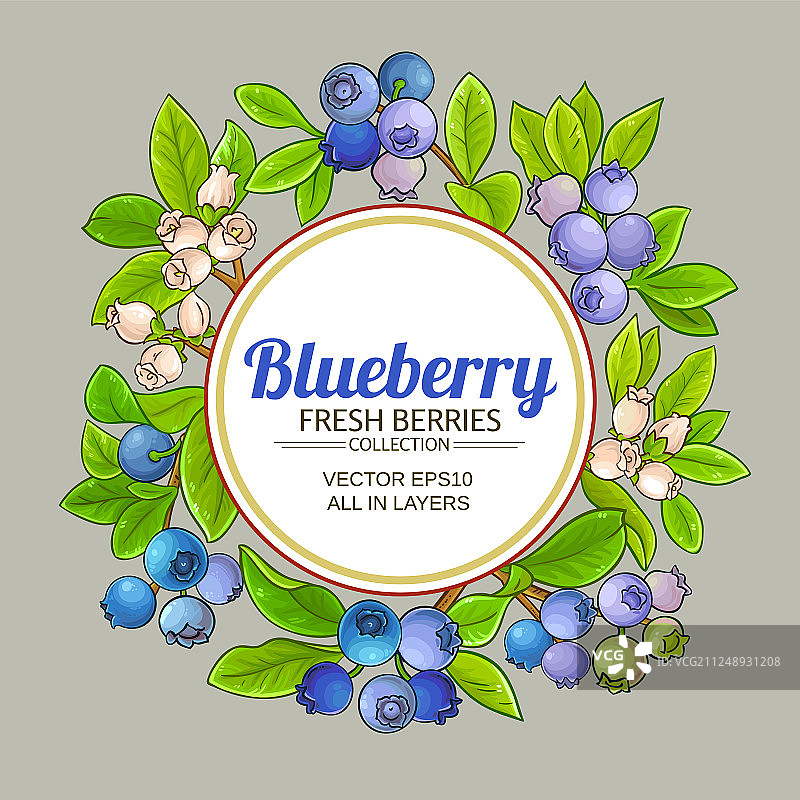 蓝莓框架的颜色背景图片素材