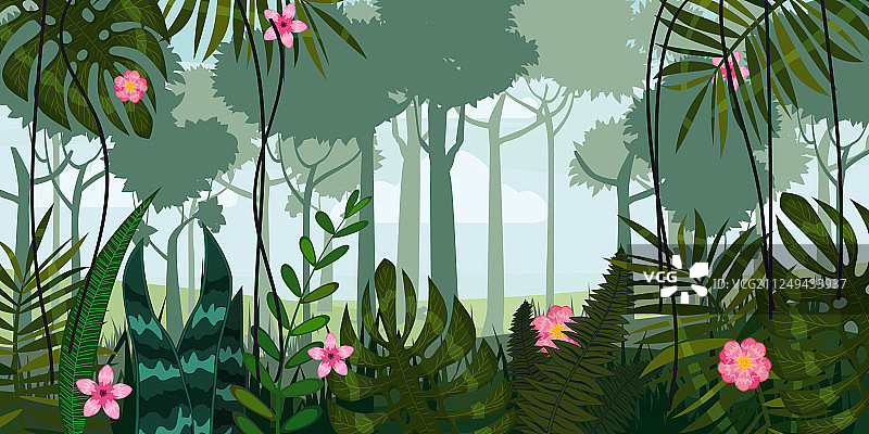 丛林的森林和花，树的叶子花图片素材