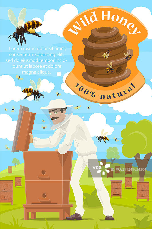 养蜂和养蜂人在蜂蜜蜂房图片素材