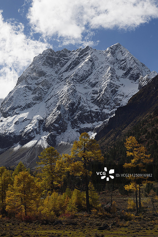 中国云南白马雪山自然保护区图片素材