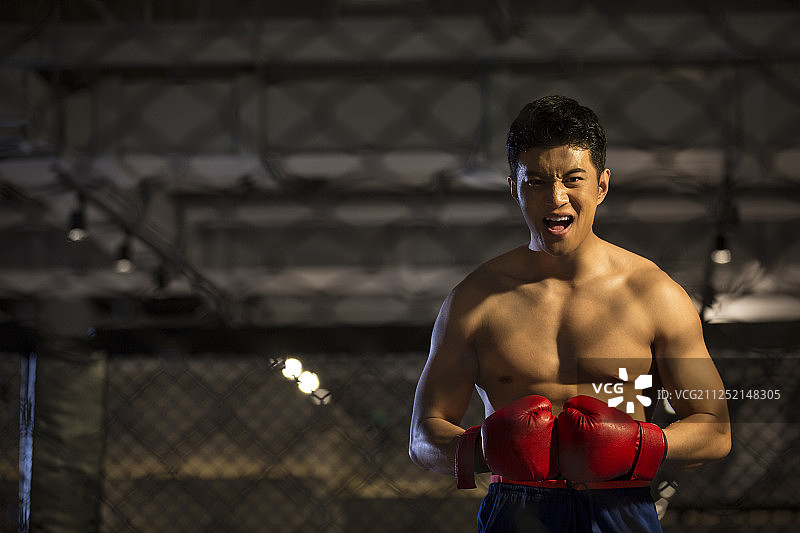 青年男拳击手欢呼胜利图片素材