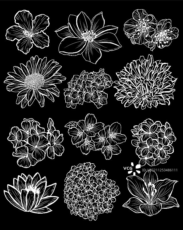 手绘花卉装饰图片素材