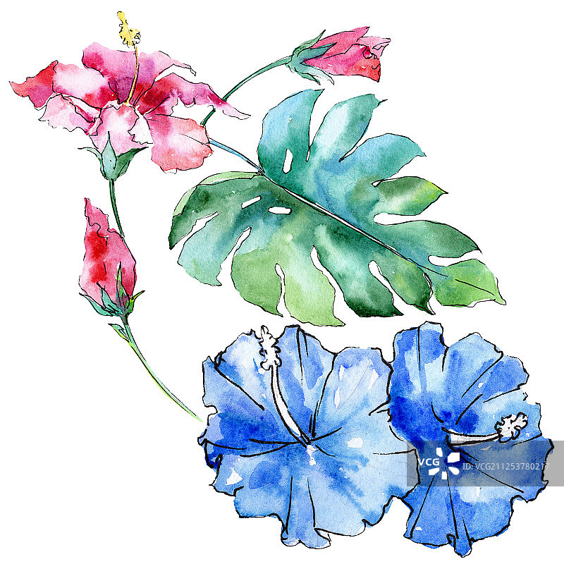 蓝色和粉红色的异国情调的热带夏威夷花。水彩背景设置。孤立花插图元素。图片素材