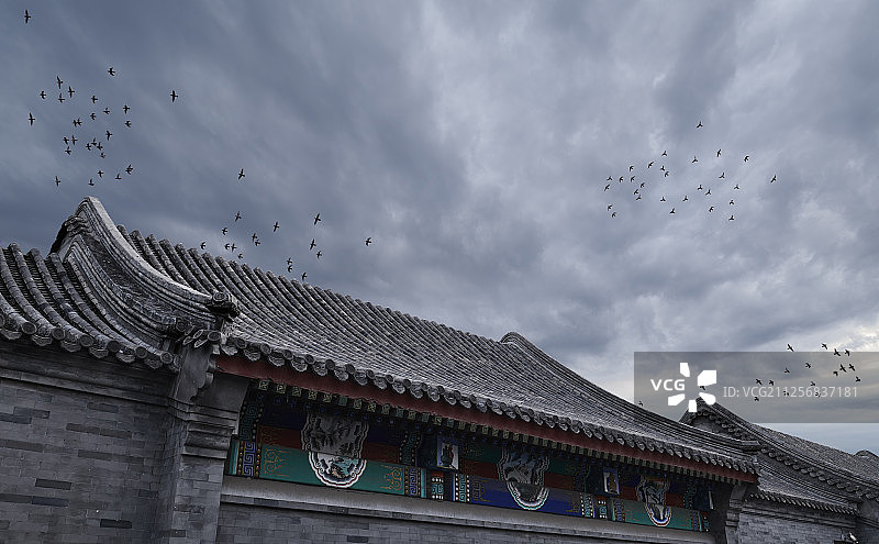 一群飞鸟和中国古代建筑屋檐图片素材