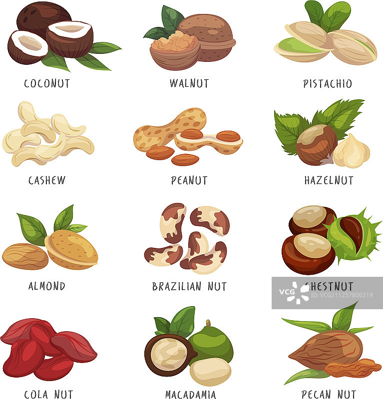 坚果谷物图标设置健康的素食零食图片素材