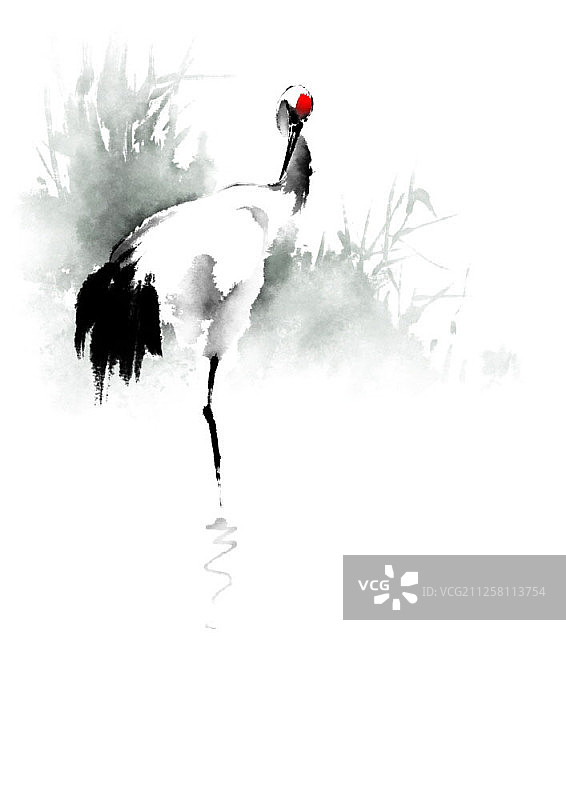 水墨画风格的鹤插图图片素材