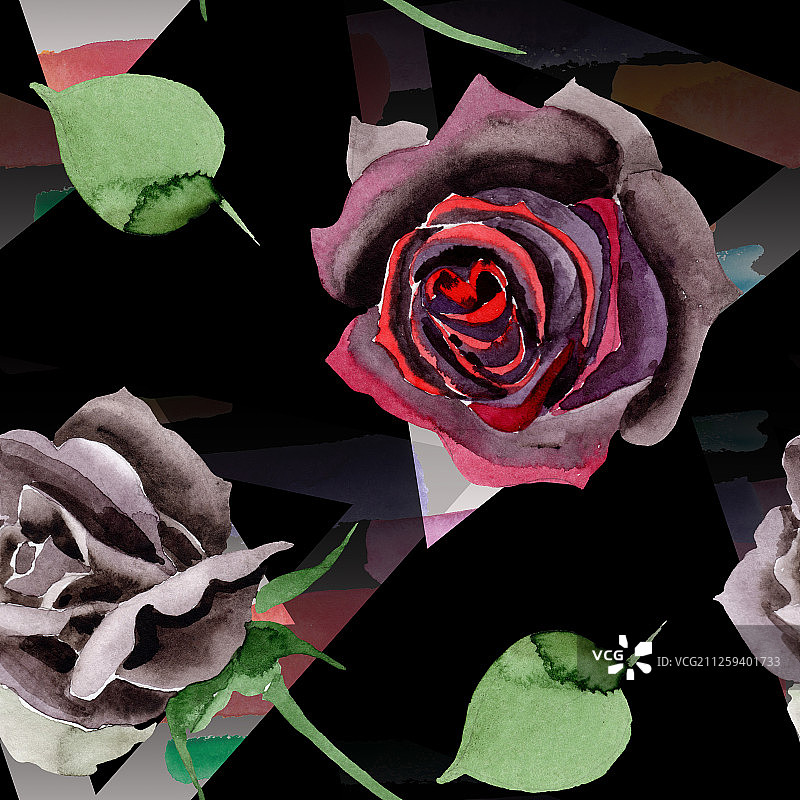 黑玫瑰花卉植物花。水彩背景插图集。无缝的背景图案。图片素材