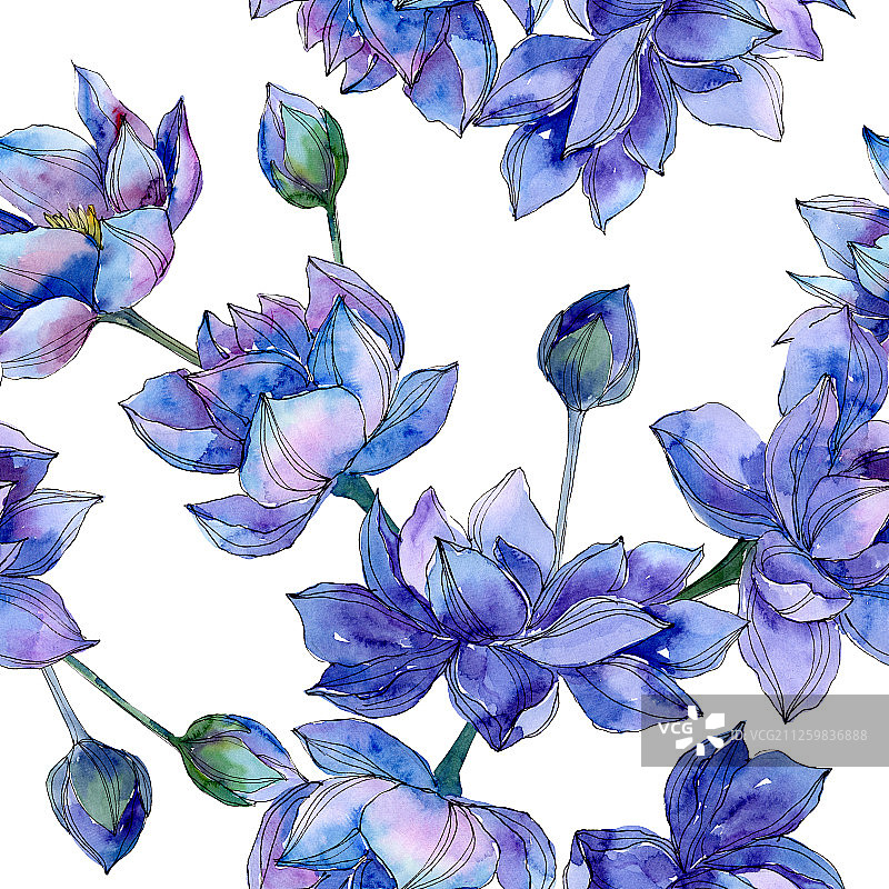 蓝荷花属植物的花。水彩背景插图集。无缝的背景图案。图片素材