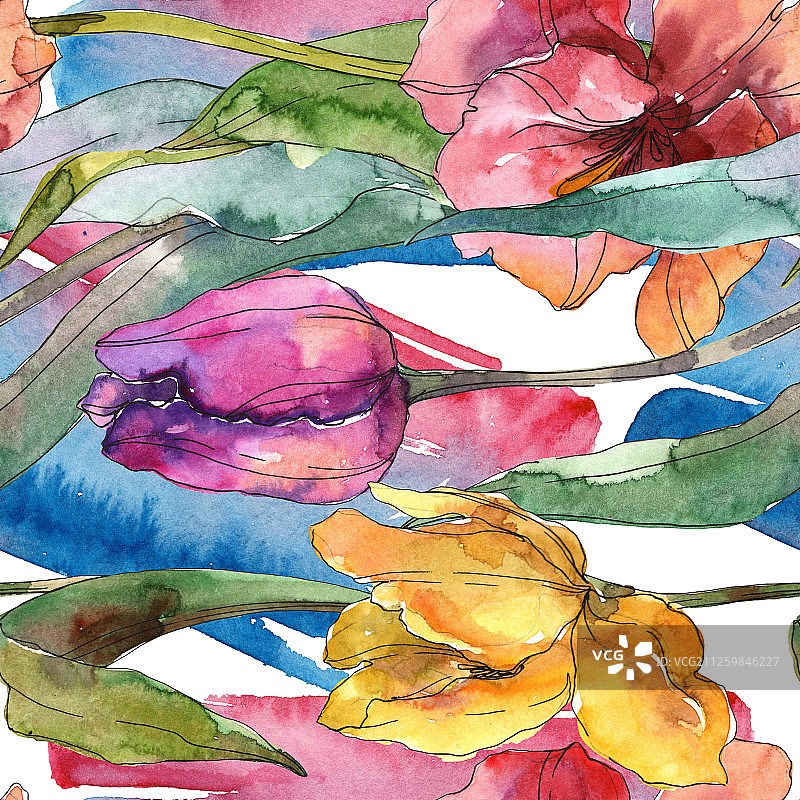 郁金香是一种植物花。水彩背景插图集。无缝的背景图案。图片素材