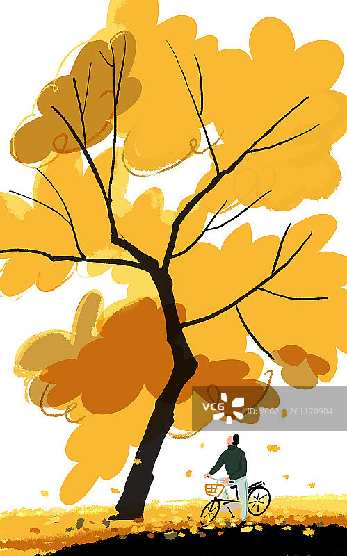 一颗巨大的秋天的黄叶树图片素材