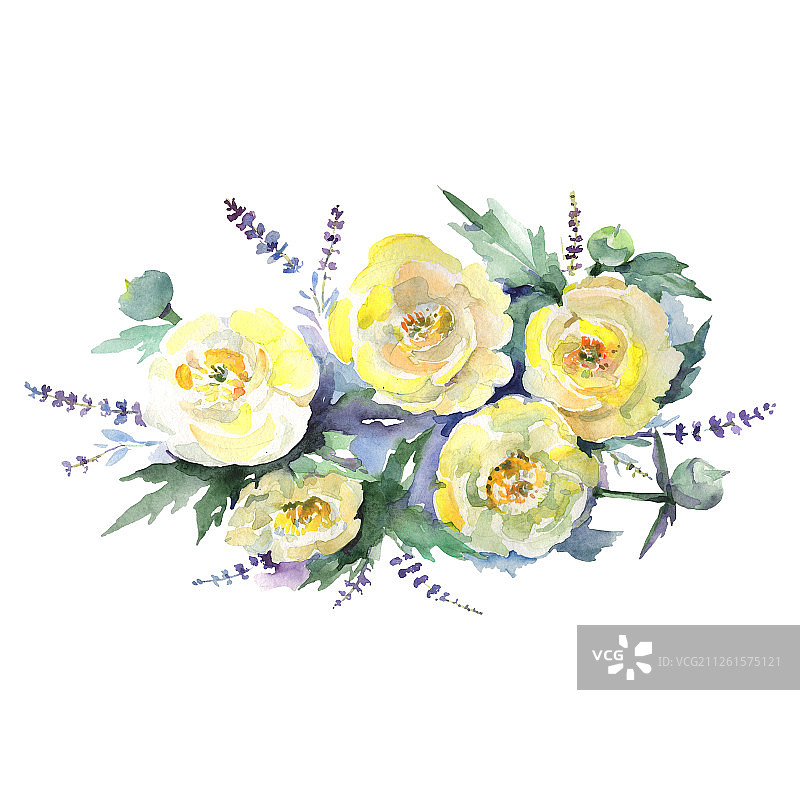 黄色毛茛花束花。水彩背景设置。孤立的花束插图元素。图片素材