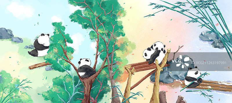 大熊猫宽幅合集图片素材