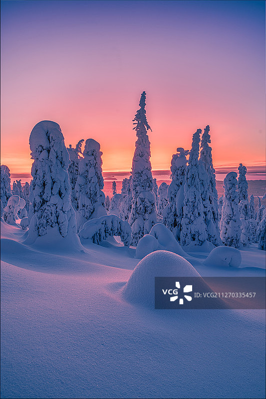 芬兰雪中自然风光图片素材