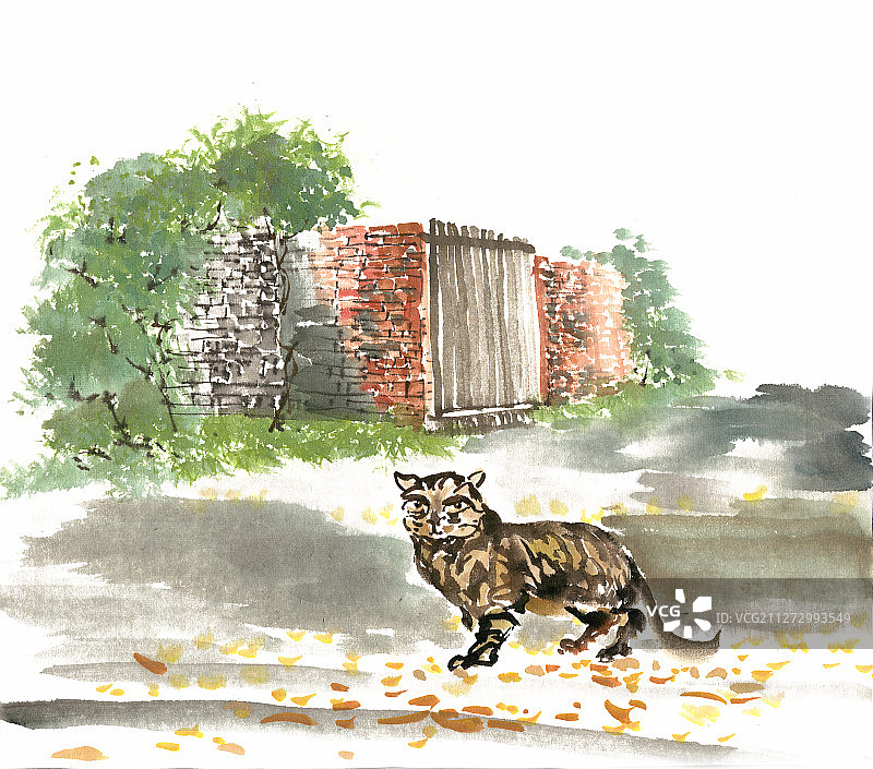 乡村的小院与小猫图片素材