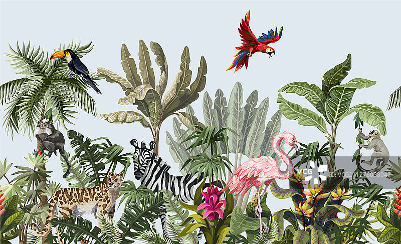 无缝边框丛林动物和花卉图片素材