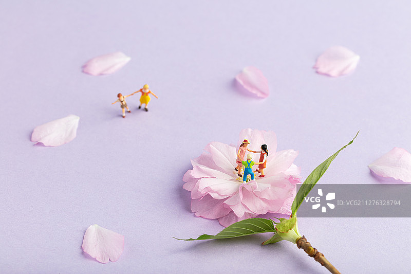 春天初夏樱花在花蕊里玩耍的儿童图片素材