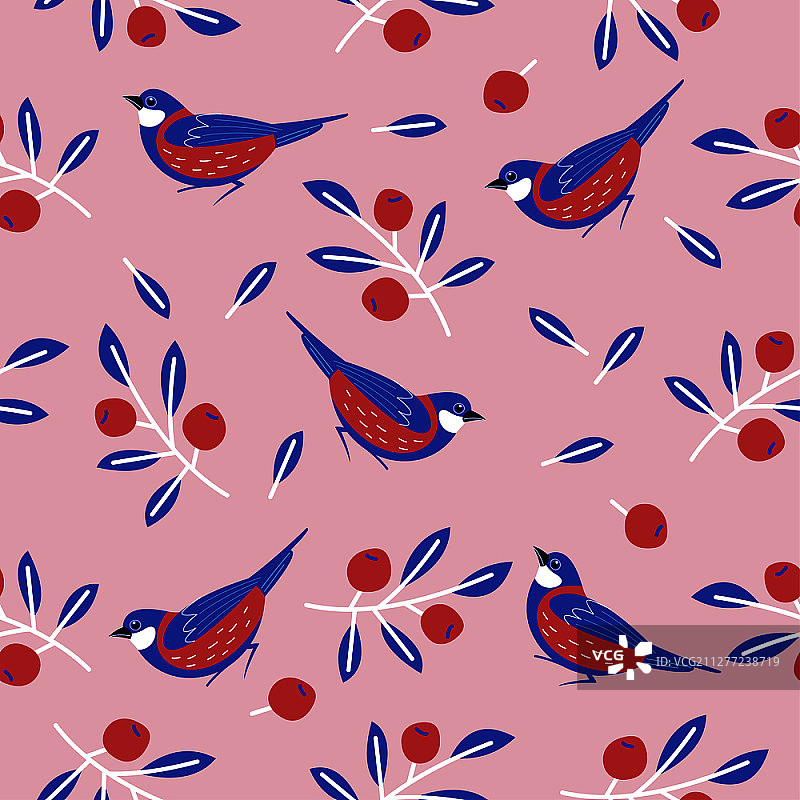 无缝图案与鸟，花，叶和浆果。粉红色背景上的山雀。矢量图. .无缝图案与鸟，花，叶和浆果。矢量插图。图片素材