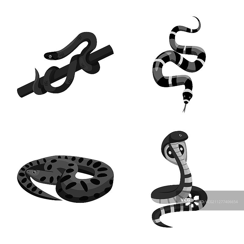 设计蛇和令人毛骨悚然的标识系列图片素材