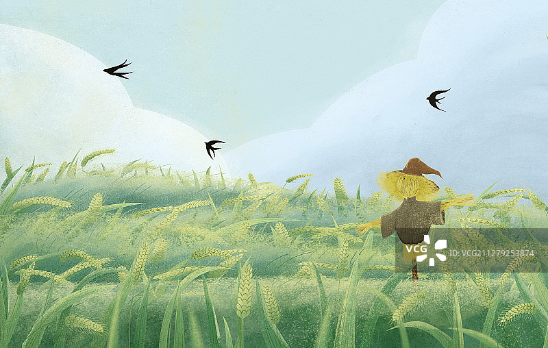 稻田里的稻草人清新插画图片素材