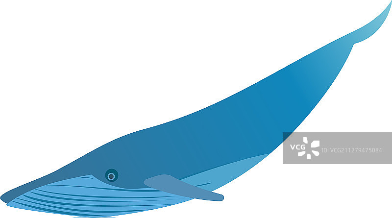 蓝鲸图标孤立在白色背景图片素材