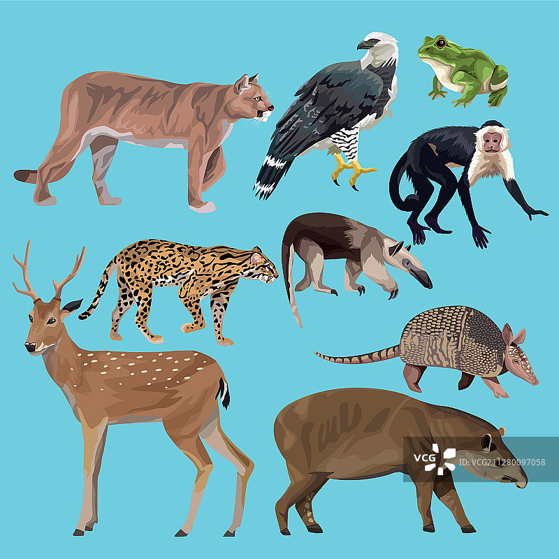 群居野生动物角色图片素材